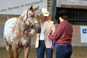 21-ApHC HMC_051
